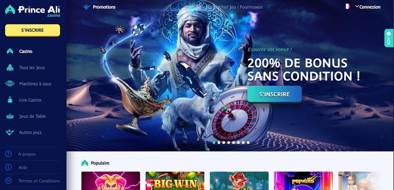 Découvrez Le Prince Ali Casino en Ligne, Une Aventure Riche en France